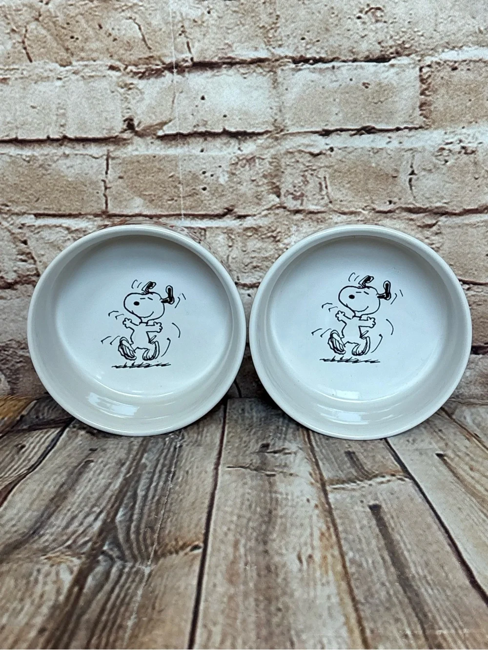 Peanuts Snoopy Charlie Brown Dog Cat Ceramic Pet Food Water Bowls Set 4.5